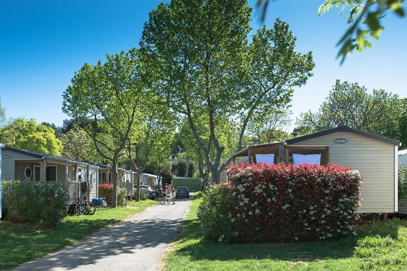Camping Parc Mogador Sanary-sur-Mer Εξωτερικό φωτογραφία