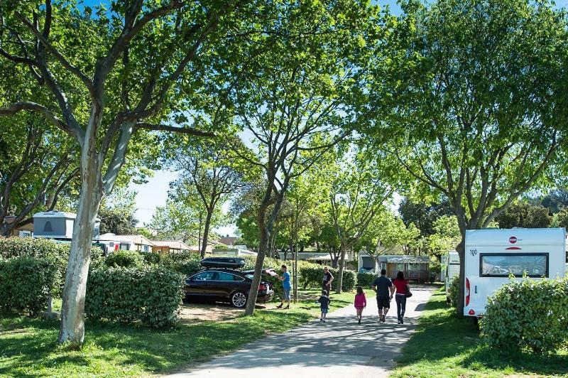 Camping Parc Mogador Sanary-sur-Mer Εξωτερικό φωτογραφία